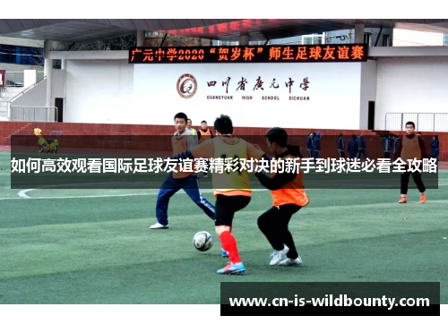 如何高效观看国际足球友谊赛精彩对决的新手到球迷必看全攻略