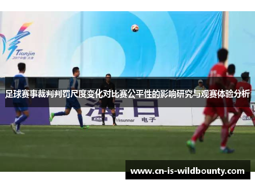 足球赛事裁判判罚尺度变化对比赛公平性的影响研究与观赛体验分析