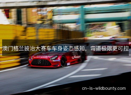 澳门格兰披治大赛车车身姿态感知,弯道极限更可控 澳门格兰披治大赛车车身姿态感知,弯道极限更可控